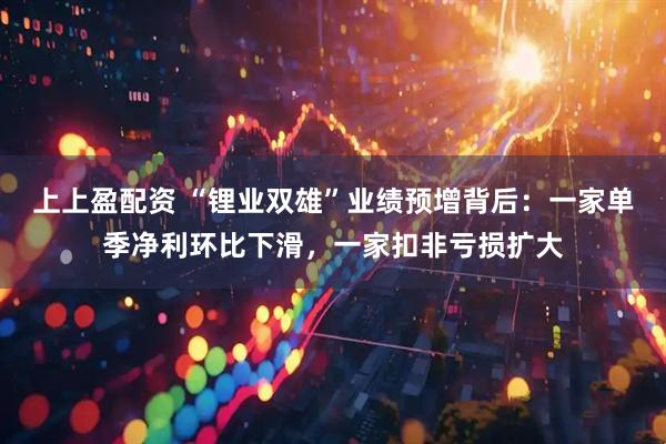 上上盈配资 “锂业双雄”业绩预增背后：一家单季净利环比下滑，一家扣非亏损扩大